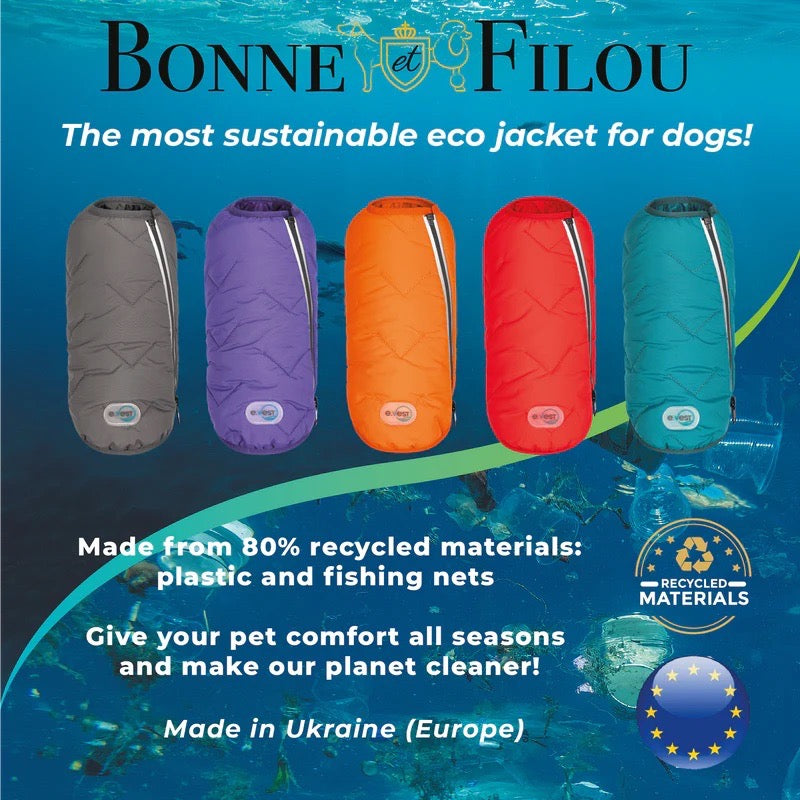 Dog wearing an eco-friendly jacket vest