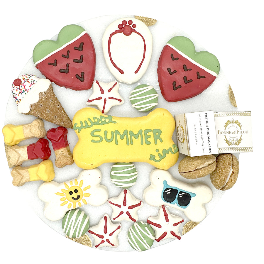 Summer themed dog treat gift box