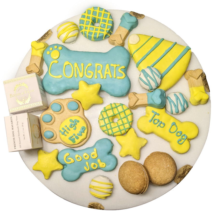 Congrats themed dog treat gift box
